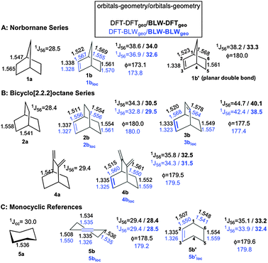 B3LYP/6-311+G** bond distances (in Å) are given for 1b–5b and for their references 1a–5a. Bond distances referring to the BLW-optimized geometries are indicated by ‘loc’ (i.e., 1blocloc–5blocloc) in blue. The PBE/IGLO-III 1J(CC) (in Hertz) are computed for both the standard and ‘loc’ geometries. Values in bold indicate that BLW-orbitals are used to compute the J-coupling constants. ϕ defines the planarity of the double bonds. For convenience, the skeleton numbering refers to norbornene.