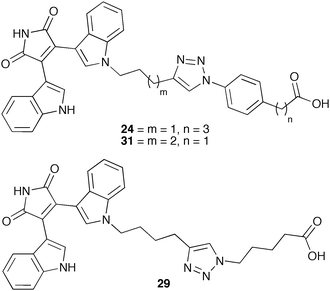 
          Lead hit hLDH-5 bifunctional ligands 24, 29 and 31.