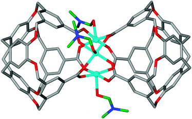 The [Cu3L2(DMF)3] metallo-cryptophane from the crystal structure of complex 1. DMF ligands are shown in green.