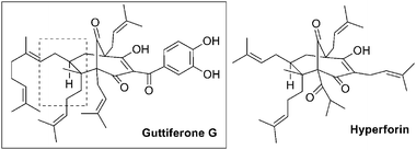 
          Guttiferone G and hyperforin.