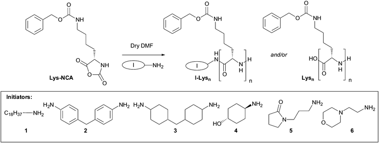 
          Amine-initiated oligomerisation of Z-protected lysine N-carboxyanhydride. Initiators 1–6 were tested in this reaction.