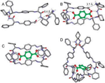 
          Aminoaldehyde intermediate in the absence (A) and in the presence (B) of the dianionic template. Minimized geometries for the complexes of the (C) [2+2] and (D) [3+3] macrocyclic oligoimines and the template (non-polar H atoms omitted in A–D).