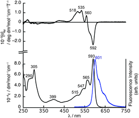 
          UV/vis absorption (bottom) and MCD (top) spectra of 4 in CHCl3. The fluorescence spectrum (bottom) in CHCl3 is shown as a blue line.