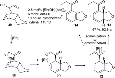 Pathways for the formation of diene 13.