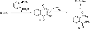 Proposed one-pot reaction to convert SNO to stable products.