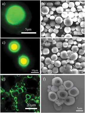 Confocal images of resultant microspheres based upon the use of different organic solvents after immersing in water for two days: (a) benzene, (c) toluene and (e) o-xylene. Lasers with wavelengths 543 and 408 nm were used; fluorescent microgel particles, red; oil with dissolved perylene, green. SEM images of produced microspheres based upon the use of different organic solvents after immersing in water for two days: (b) benzene, (d) toluene and (f) o-xylene.