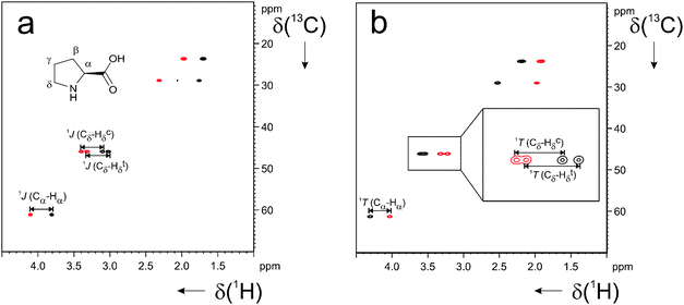 CLAP-HSQC spectrum12 of l-proline (ca. 7 mg) in (a) isotropic D2O solution and in (b) ca. 2.1% w/w LLC phase of β-peptide 1 in D2O.