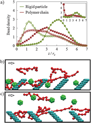 Dilute colloid–polymer suspension flowing in a microchannel lined with nanoscopic posts. Panel (a) shows normalized bead density profiles. The empty and filled symbols show the distributions in channels with posts tilted, respectively, along (α = 45°) and against (α = −45°) the fluid flow. The inset presents the density profile for a channel with a sticky wall and posts tilted α = −45°. Panels (b) and (c) show snapshots illustrating typical distributions of polymer chains (green) and nanoparticles (red) in channels with α = 45° and α = −45°, respectively. The arrows show the direction of fluid flow. For clarity, only five colloidal particles and five polymer chains are shown in each snapshot.