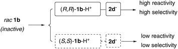 Chiral Brønsted acid differentiated metal catalysis.