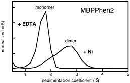 Sedimentation velocity distributions of MBPPhen2 in the absence of metal and presence of Ni2+ ([MBPPhen2] = 600 μM, [Ni2+] = 200 μM).
