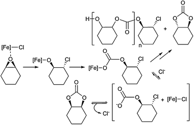 Proposed mechanism for CO2/CHO coupling (for clarity, only (R,S)-CHO is represented here although the same reactions occur for the enantiomer, yielding a racemic mixture of cis-CHC and atactic PCHC).