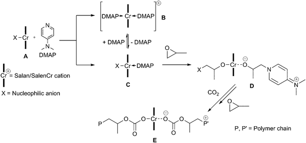 Proposed mechanism of copolymerisation with [(salen/salan)CrX] and DMAP.