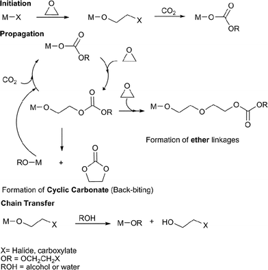 The proposed catalytic cycle for the copolymerisation of CO2 and epoxides.