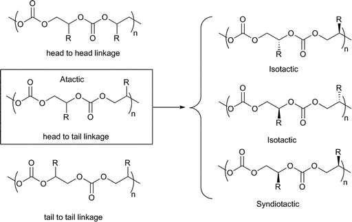 Regio- and stereochemistry of polycarbonates.