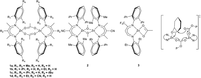 
            Zinc β-diiminate complexes and proposed bimetallic transition state.