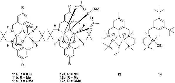 Highly active reduced Robson type zinc complexes (11 and 12) and inactive analogues (13 and 14).