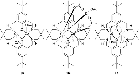 
            Cobalt acetate complexes of reduced Robson ligand.