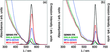 Absorption and emission spectra of variously capped (a) Qdot 545 NCs and (b) Qdot 605 NCs. Absorbance spectra, shown as dotted lines, are normalized at the first exciton peak. Emission spectra (solid lines) are normalized to reflect PL quantum yields. Spectra were acquired on 10 nM dispersions in CHCl3 or sodium tetraborate buffer (10 mM, pH 10) with excess exchange ligand at 1 mM at 25 °C (λex = 400 nm).