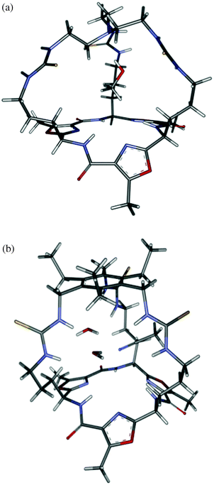 Schematic representations of the X-ray crystal structures of (a) cryptand 1 with a molecule of methanol located inside the cavity and (b) cryptand 2 with two water and one acetonitrile molecules inside the cavity. Numerous other solvent molecules and regions of disorder have been removed for clarity.