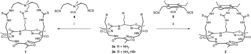 Synthesis of tren-capped cryptand 1 and 1,3,5-triethylbenzene-capped cryptand 2. Reagents and conditions: (i) 3a, CHCl3, 54% or3b, triethylamine, CHCl3, DMF, 62%. (ii) 3a, CHCl3, 69% or3b, triethylamine, CHCl3, DMF, 50%.