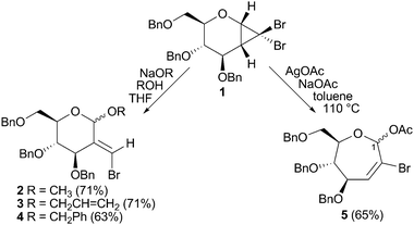 Divergent reactions of d-glucal-derived cyclopropane 1.4