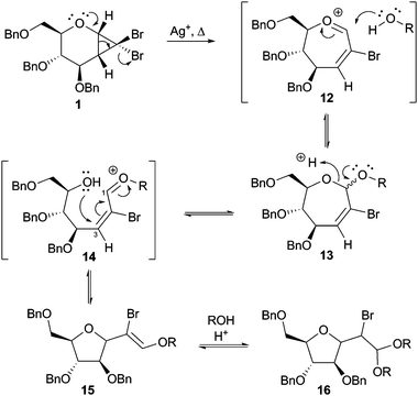 Proposed mechanism of formation of tetrahydrofuran products from cyclopropane 1.