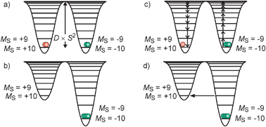 Schematic representation of the anisotropy barrier in SMMs: (a) effect of a negative zero-field splitting parameter on a St = 10 spin manifold; (b) magnetization of the sample by application of an external magnetic field (Zeeman effect); (c) frozen magnetized sample showing a slow relaxation of the magnetization over the anisotropy barrier after turning off the external magnetic field; (d) quantum tunneling of the magnetization through the anisotropy barrier for magnetic fields leading to interacting MS substates at the same energy. Note that the representation as potentials is only a guide to the eyes. The basic representation is energy as a function of the MS quantum number.