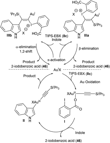 Proposed mechanisms for the alkynylation of indole.