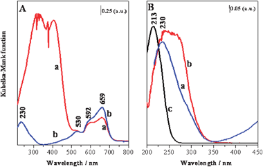 (A) DR UV-Vis spectra of the oxidized (a) and reduced (b) CoTiAlPO-5 catalyst. (B) Comparative DR UV-Vis spectra for CoTiAlPO-5 (a), TiAlPO-5 (b) and TiMCM-41 (c). All the spectra are recorded in vacuo at 298 K after the thermal treatments.
