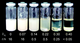 Appearance of the mixtures containing microcrystalline cellulose (Avicel, 10 wt%), DMI and BMIMCl (total volume 10 mL) after stirring at 100 °C for the time indicated in the figure. Note that there is a magnetic bar at the bottom of the vials.