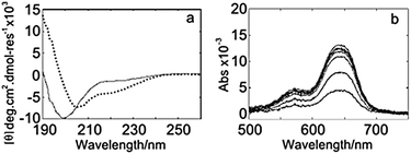 Solution-phase spectra for vCP1. (a) CD spectra of 25 μM peptide in the absence (solid line) and presence (dotted line) of 50 μM zinc. (b) UV spectra for a titration of 4.4–47.4 μM Co2+ into 11.9 μM vCP1. Buffer: 5% isopropanol; pH 7.2; 20 mM ammonium acetate; 500 μM TCEP.