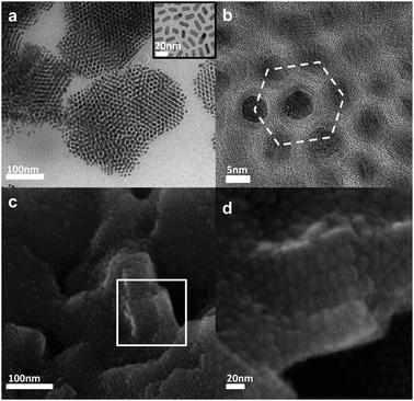 Assembly of shape-controlled nanocrystals by depletion attraction ...