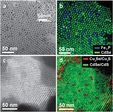 (a) Elastic-filtered image of a binary superlattice of Fe2P and CdSe nanorods; inset: TEM image of non-assembled CdSe nanorods; (b) false color image after superimposing the elemental map of Fe (from Fe L edge) with the Fe L pre-edge, the latter resembling the elemental map of Cd. (c) Elastic-filtered image of a binary superlattice of CdSe/CdS nanorods and Cu-exchanged CdSe/CdS nanorods; (d) false color image after superimposing the elemental map of Cd with that of Cu.