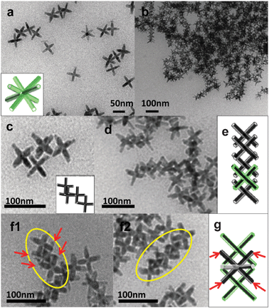 (a) TEM image of non-assembled CdSe/CdS octapods. Most octapods have a cross shape in transmission when four of their arms touch the carbon support film on the grid and they are aligned with the remaining four arms pointing away from the film. (b–d) and (f1, f2) TEM images of various assemblies induced by oleic acid. Models of the various assemblies are also sketched.
