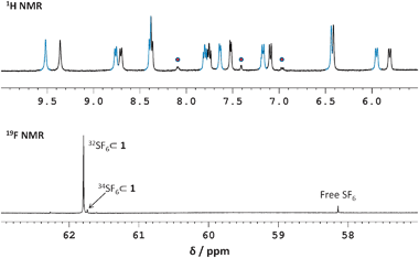 
          1H NMR (top) and 19F NMR (bottom) spectra of [SF6⊂1] at 50% guest uptake. Blue peaks in the 1H NMR correspond to [SF6⊂1], black peaks to uncomplexed 1. Peaks marked with dots indicate the diamine subcomponent, present as a minor impurity.