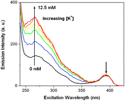 Metal luminescence excitation spectra of Eu-KPhen (1) upon titration of K+. Experimental conditions: [Eu-KPhen] = 50.0 μM, 25 mM aqueous OAc−buffer pH 7, emission 593 nm, time delay = 0.1 ms, T = 20 °C.