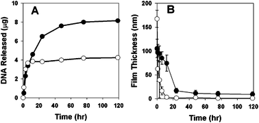 Plots of (A) release of plasmid DNA and (B) changes in film thickness for (1/DNA)8 films (●) and (1/PAA/1/DNA)4 films (○) incubated in PBS at 37 °C.