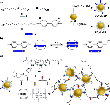 Schematic representation of (a) preparation of MV2+-AuNP 3 and EG3-AuNP 4, (b) formation of a 2 : 1 (MV+˙)2⊂CB[8] inclusion complex upon reduction and (c) the noncovalent functionalisation of MV2+-AuNP 3 with CB[8] and multivalent Np-copolymers 5.