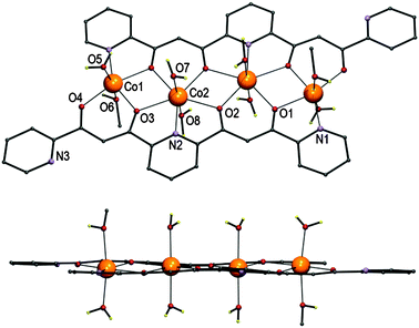 PovRay representation of the complex cation of [Co4L2(H2O)6(MeOH)2](NO3)4 (2). Only unique heteroatoms are labelled. Only hydrogen atoms bound to O are shown (in yellow). At the bottom is a representation emphasizing the flatness of the equatorial fragment. Ranges of selected distances (Å) and angles (°): Co–O, 2.0179(11) to 2.2778(10); Co–N, 2.0840(14) to 2.1831(12); Co1–O3–Co2, 109.90(6); Co1–O1#–Co2, 107.76(5); Co2–O2–Co2#, 109.23(5); Co1⋯Co2, 3.4754(4); Co2⋯Co2#, 3.6164(4); Co1⋯Co2#, 6.8721(6); Co1⋯Co1#, 10.2728(8). # = 1 − x, 1 − y, −z.