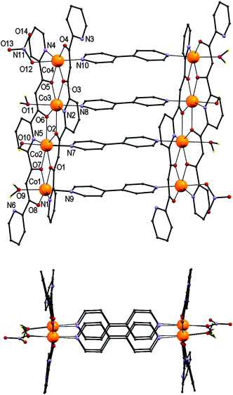 PovRay representation of the complex cation of [Co8L4(OH)2(H2O)4(NO3)2(bpy)4](NO3)4 (3). Only unique heteroatoms are labelled. Only hydrogen atoms bound to O are shown. At the bottom is a side view emphasizing the offset superposition of aromatic rings from adjacent bpy ligands. Ranges of selected distances (Å) and angles (°): Co–O, 2.012(4) to 2.259(4); Co–N, 2.084(5) to 2.183(4); Co1–O1–Co2, 108.17(18); Co1–O7–Co2, 109.41(18); Co2–O2–Co3, 109.09(16); Co2–O6–Co3, 108.77(16); Co3–O3–Co4, 109.43(18); Co3–O5–Co4, 107.82(18); Co1⋯Co2, 3.4707(14); Co3⋯Co4, 3.4666(14); Co2⋯Co3, 3.6139(13); Co1⋯Co3, 6.847(2); Co2⋯Co4, 6.8475(19); Co1⋯Co4, 10.236(3); Co1⋯Co4#, 11.358(3).