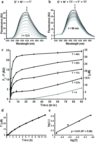 Monitoring peptide self-replication by FRET. (a) Fluorescence spectra obtained at different times (0, 1, 1.5, 2.5, 4, 6, 8, 10 and 12 h; spectra obtained at time < 1 h were not included for clarity) for reaction mixtures containing E′ and N′ (100 μM each). (b) Fluorescence spectra obtained at different times (0, 1, 2, 4, 8, 15, 30, 60 and 90 min) for reaction mixtures containing E′, N′ (100 μM each) and T (22 μM). (c) Kinetics of fluorescence quenching (F0 − F; 420 nm) and product formation (right Y axis) over 1.5 h for replication reactions seeded with different amounts of T, derived from the results shown in panel (b) and panels a–c in Fig. S2 (ESI). The designated mole percentage next to each curve marks the concentration of T·T relative to E′ and N′. The kinetic profile of the background reaction, derived from the data in panel (a), is shown in gray for comparison. (d) Product formation over 12 h in the background reaction (panel a), showing the expected self-replication kinetics. (e) Logarithmic plot of the initial rate vs. initial seeded concentration of T, allowing us to calculate the replication order p = 0.8.