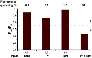 Fluorescence data of the replication NAND gate. The reaction mixture made of E′ and N′ (100 μM each), and carried out with four different combinations of TNvNv and UV light as inputs, was monitored after 60 minutes. The percentage of quenched signal due to FRET is emphasized above each column.