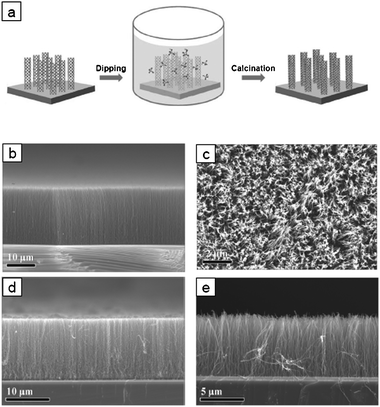 (a) Biomimetic mineralization of vertical NCNTs. (b) Cross-sectional and (c) plane-view SEM images of vertical NCNTs. SEM images of (d) SiO2 and (e) CaCO3 coated vertical NCNTs.