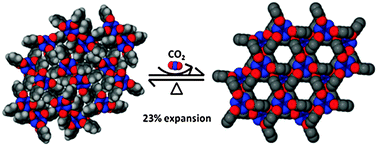 Gas-induced conversion of a nonporous high density phase 1a (left) to hexagonal porous phase 1b (right) with moderate pressures of CO2.
