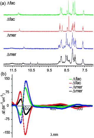 (a) 1H NMR Spectra (500 MHz, d6-acetone) of tbutyl protected fac/mer Λ/Δ 1 and (b) circular dichroism spectra (CD) of fac/mer Λ/Δ 1 (H2O, pH 7.0, 100 μM).