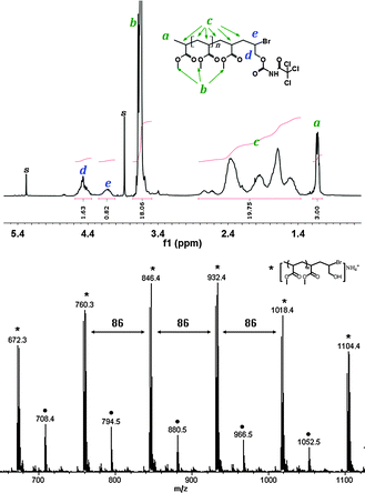 
          1H NMR and ESI-MS spectrum of product 2. 1H NMR analysis was carried out with addition of trichloroacetyl isocyanate to confirm the hydroxyl group, and the amount of hydroxyl functionality can be calculated from the integration ratio of peaks d and a, while the amount of Br functionality can be calculated from peaks e and a; Peak series with (*) in ESI-MS spectrum represents mono-adducts with Br end group and those with (●) represents PMA without Br end. The m/z values of ESI-MS peaks are consistent with the calculated values (difference less than 0.2 Da) and the isotope distribution patterns were confirmed.