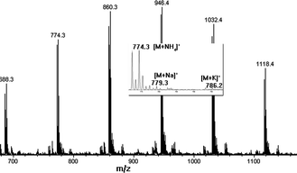 
          ESI-MS
          spectrum of purified product 3.