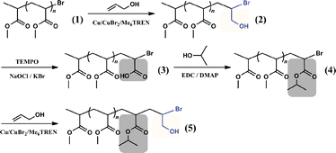 Proof-of-concept study of sequence controlled polymerization using PMA support.
