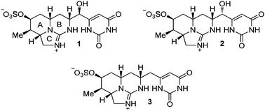 Cylindrospermopsin