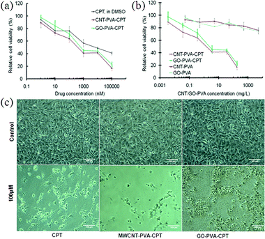 (a) Relative cell viability of MDA-MB-231 cells cultured with free CPT, MWCNT–PVA–CPT and GO–PVA–CPT at different concentrations of CPT, respectively; (b) relative cell viability of MDA-MB-231 cells cultured with MWCNT–PVA and GO–PVA in the presence of and the absence of CPT, respectively; (c) optical images of MDA-MB-231 cells after culturing with CPT, MWCNT–PVA–CPT and GO–PVA–CPT, respectively.